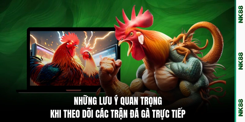 Những lưu ý quan trọng khi theo dõi các trận đá gà trực tiếp 